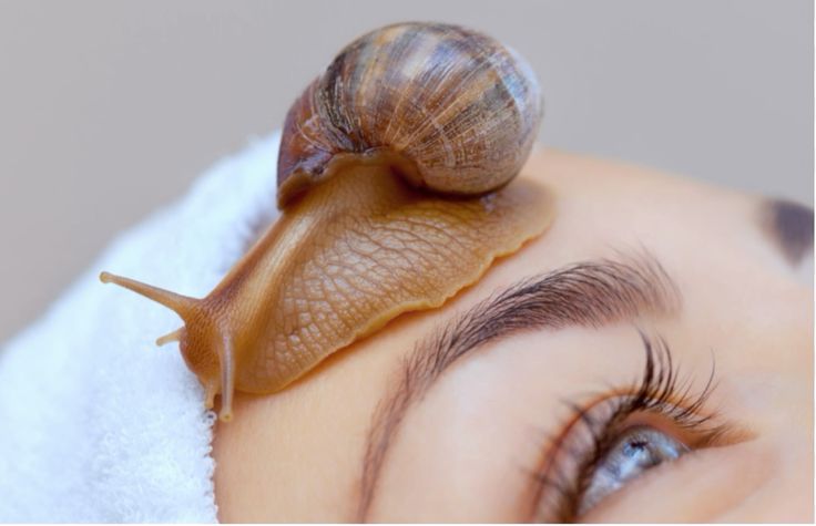 Korean Skincare Snail: Unlocking the Secrets of Snail Mucin - OLELON